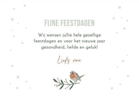 Kerstkaartje fotocollage maan roodborstje en vlokjes 3