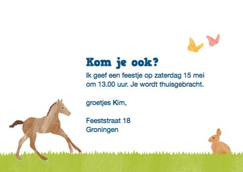 Kinderfeestje paarden 3