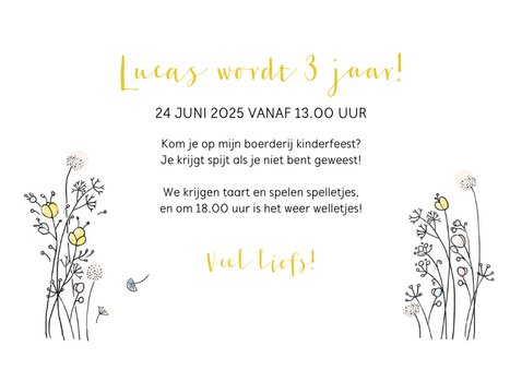 Kinderfeestje tractor met jongetje 3
