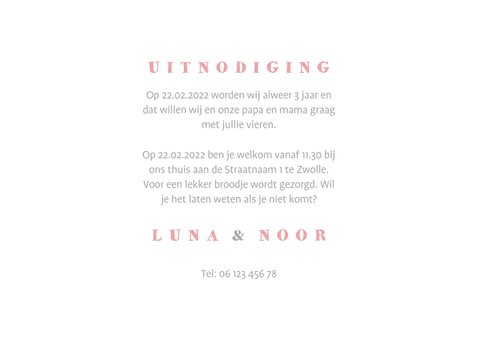 Kinderfeestje tweeling olifantjes met slingers en ballon 3
