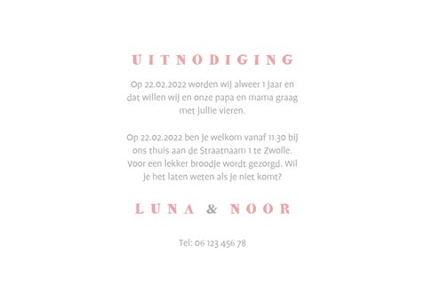 Kinderfeestje tweeling olifantjes met slingers en ballon 3
