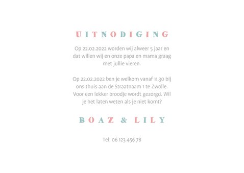 Kinderfeestje tweeling olifantjes uni met ballon en slingers 3