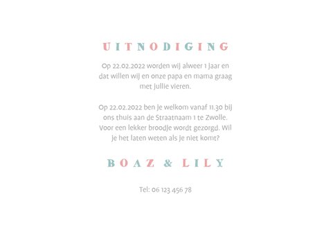 Kinderfeestje tweeling olifantjes uni met ballon en slingers 3