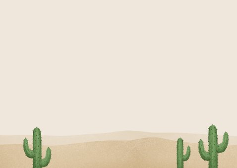 Kindergeburtstag Einladung Cowboy & Indianer Rückseite