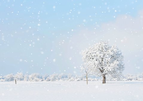 Klassieke kerstkaart met sneeuwlandschap met boom 2
