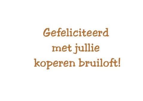 Koperen bruiloft - 12 5 jaar 3