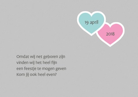 Kraamfeest Muizenhart twin 2 2