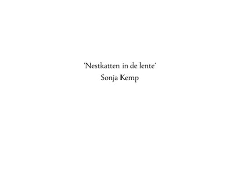 Kunstkaart Nestkatten Lente 2