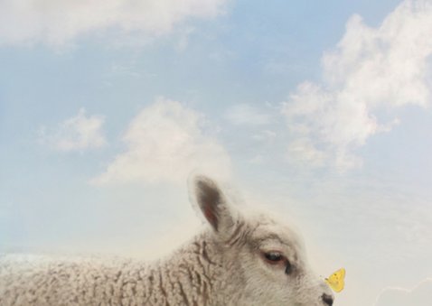 Lentefeest met lammetjes 2