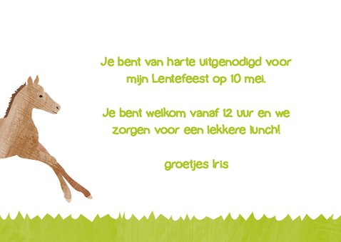 Lentefeest met veulen en vogel 3