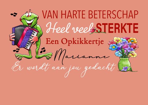 Leuke beterschapskaart met Opkikkers met gitaar en bloemen 2