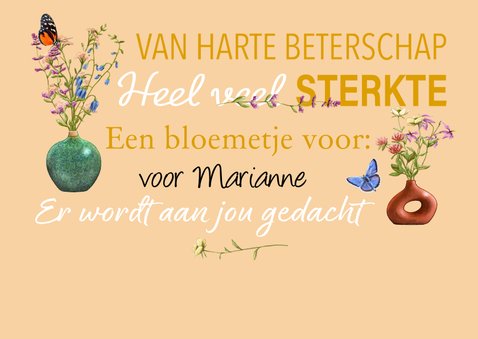 Leuke beterschapskaart met vaasjes bloemen en vlinders 2