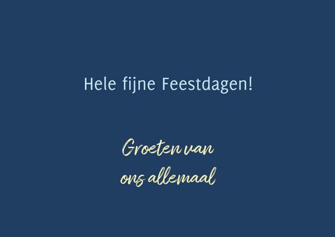 Leuke kerstkaart met 2 olifanten die elkaar kussen 3