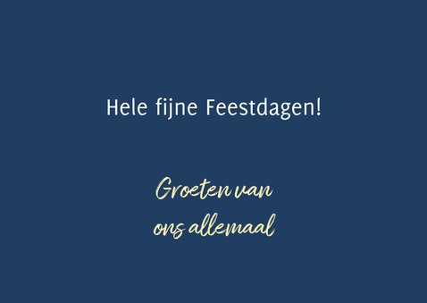 Leuke kerstkaart met 2 olifanten die elkaar kussen 3