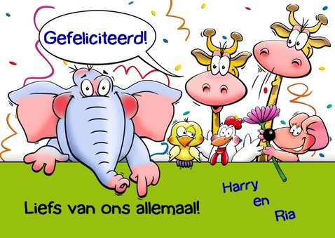 Leuke verjaardagskaart aanpasbaar met grappige dieren 3