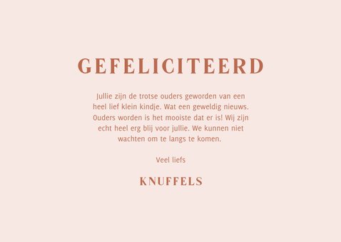 Lief felicitatiekaartje beertjes dochter roze 3