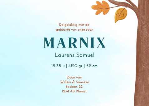 Lief geboortekaartje eekhoorn met baby in herfst 3