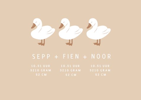 Lief geboortekaartje met drie zwaantjes drieling 2