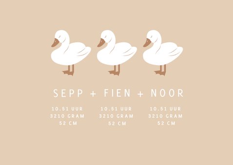 Lief geboortekaartje met drie zwaantjes drieling 2