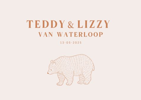 Lief geboortekaartje met illustratie van beertjes tweeling 2