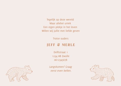 Lief geboortekaartje met illustratie van beertjes tweeling 3
