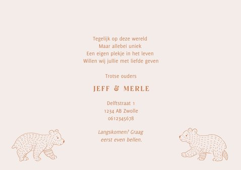 Lief geboortekaartje met illustratie van beertjes tweeling 3