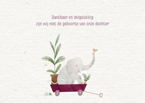 Lief geboortekaartje olifantje paarse bolderkar planten 2