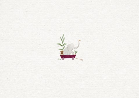  Lief geboortekaartje olifantje paarse bolderkar planten Achterkant