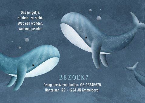 Lief geboortekaartje voor broertje twee walvissen 2