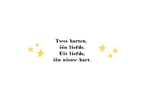 Lief geboortekaartje voor tweeling met olifantjes en sterren 2