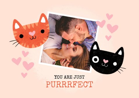 Liefde kaart met katten "You are just purrfect" 2