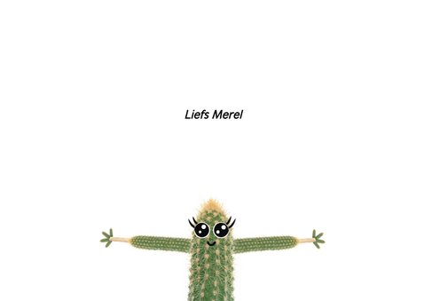 Liefdeskaart met cactus met ik vind jou zooooo leuk!  3