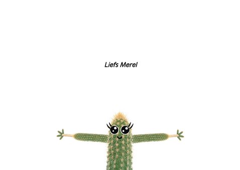 Liefdeskaart met cactus met ik vind jou zooooo leuk! 3