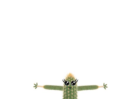 Liefdeskaart met cactus met ik vind jou zooooo leuk! 3