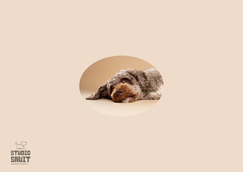 Lieve beterschapskaart liggend hondje met zielig kopje 2