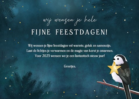 Lieve kerstkaart met 2 vogels met lampjes en eigen foto's 3