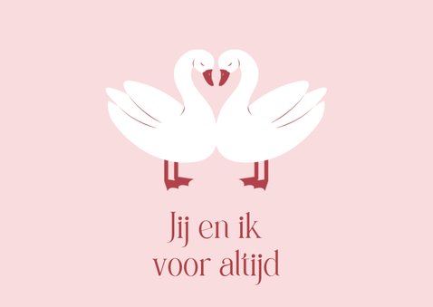 Lieve valentijnskaart met illustratie van twee zwanen 2