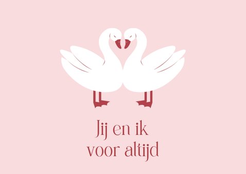 Lieve valentijnskaart met illustratie van twee zwanen 2