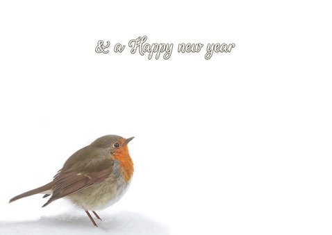 Merry Christmas houten letters 3