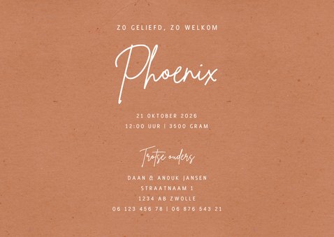 Minimalistisch neutraal geboortekaartje roest en naam 3