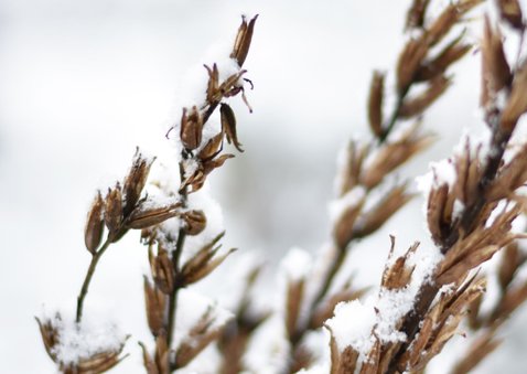 Moderne winterse wenskaart met natuurfoto 2