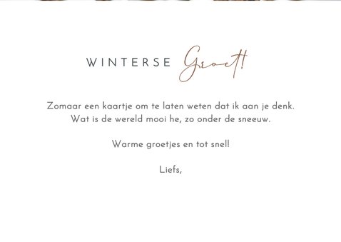 Moderne winterse wenskaart met natuurfoto 3