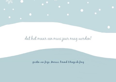 Nieuwjaar - 2019 met vier katten 3