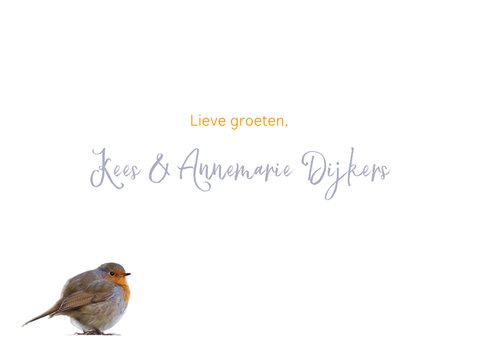 Nieuwjaar houten cijfers-sneeuw 3