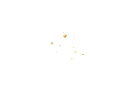 Nieuwjaarsborrel uitnodiging champagne sterren goud oliebol Achterkant