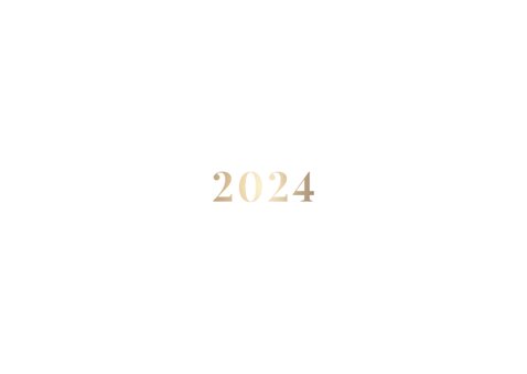 Nieuwjaarskaart goudlook '2024' fotocollage 3 foto's Achterkant