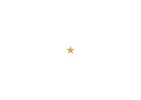 Nieuwjaarskaart grote foto goud sterretjeskader Achterkant