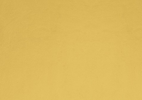 Nieuwjaarskaart met foto op de achtergrond en gouden vlak Achterkant