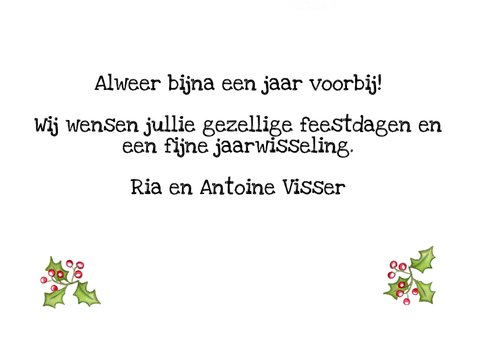 Nieuwjaarskaarten walvis met kerstmuts 3