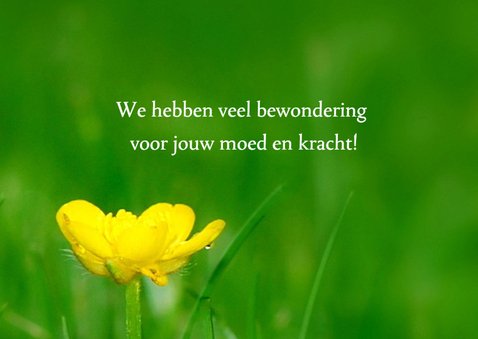 opgeven - geen denken aan 2